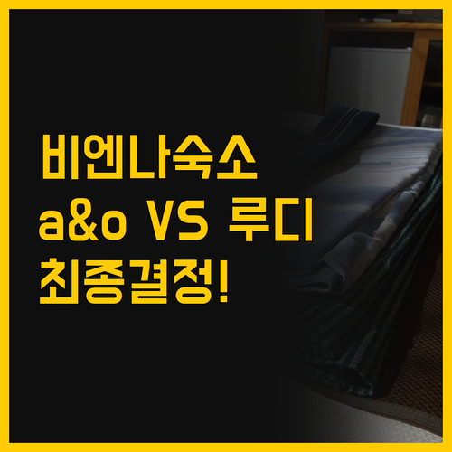 비엔나 중앙역 숙소 고민 끝 a&o ..