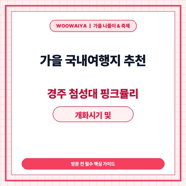 가을 국내여행지 추천 경주 첨성대 핑크뮬리 개화시기 및 주차·코스 총정리