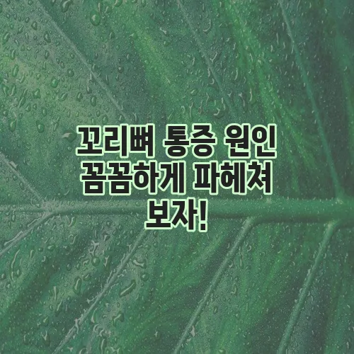 꼬리뼈 통증 원인 꼼꼼하게 파헤쳐 보자!