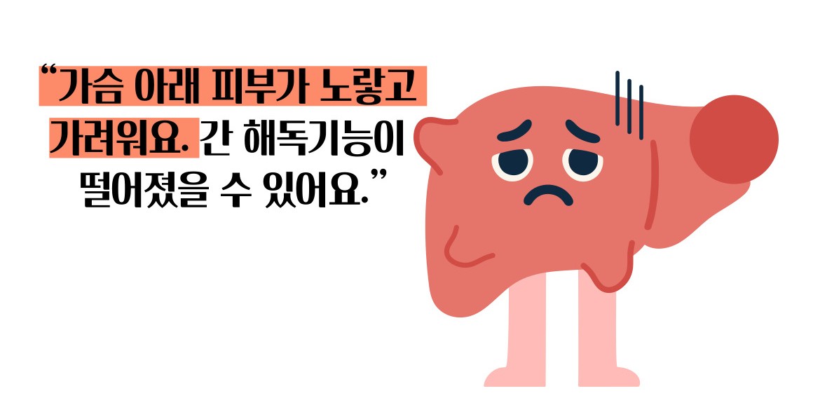 간경화 초기증상