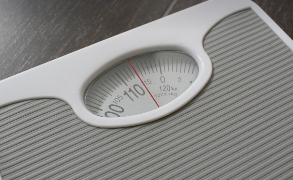 BMI 기준표 계산기