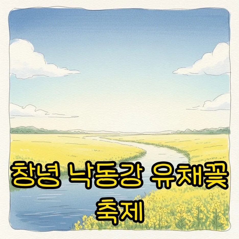 낙동강 변을 수놓은 화사한 노란 유채꽃밭 풍경