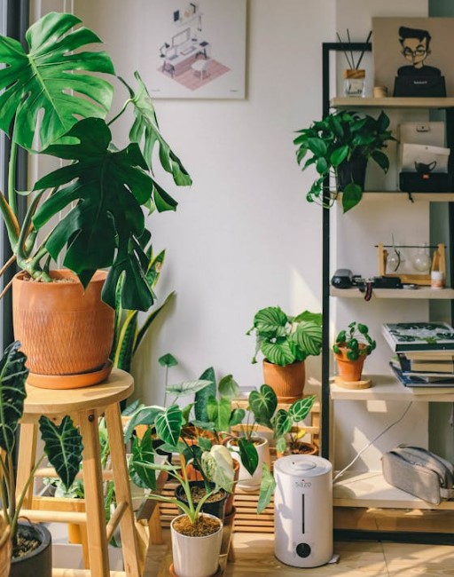 가습기 물통 세척법 (설명서 없이도 완벽하게)