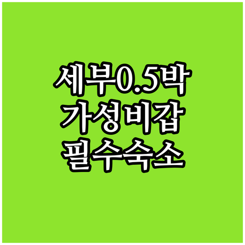 세부 공항 근처 가성비 숙소 추천 리..