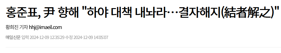 홍준표, 尹 향해 "하야 대책 내놔라…결자해지(結者解之)"