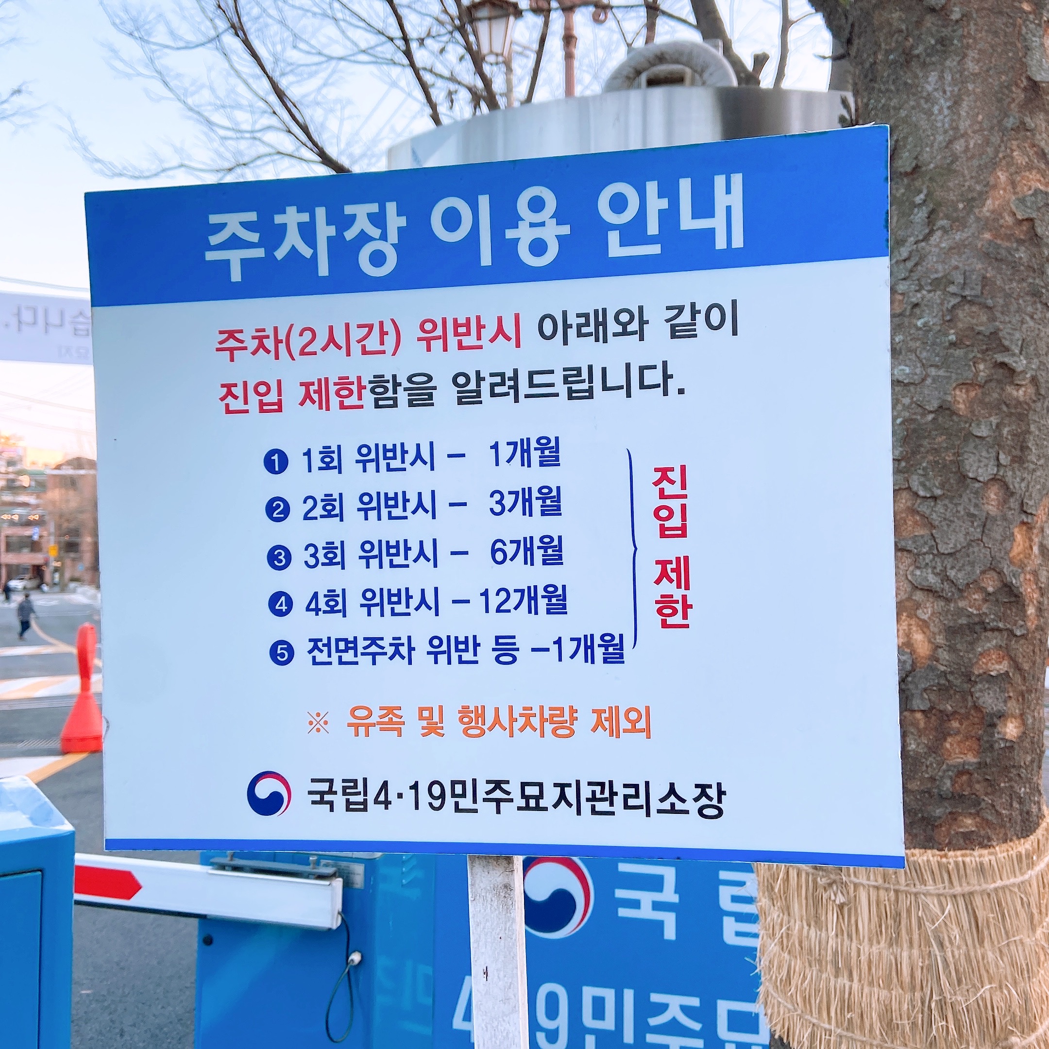 419묘지3