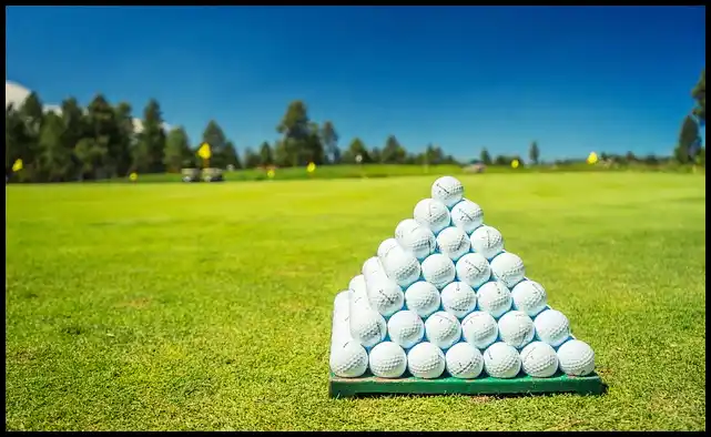 파크골프 용어 정리 (+ 해설 )