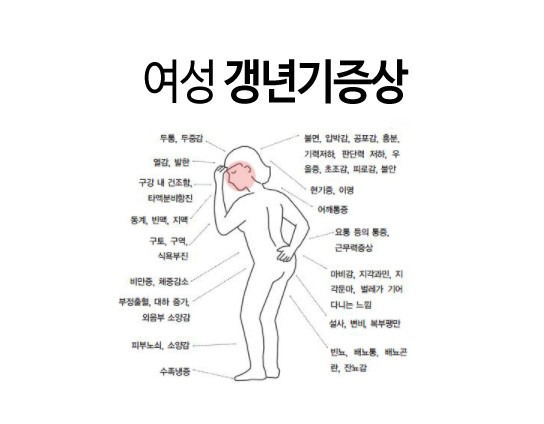 여성 갱년기 대표적인 증상6