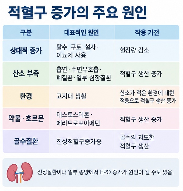 탈수 흡연 수면무호흡 폐질환 고지대 약물 골수질환 등 적혈구 증가 원인을 구분한 이미지