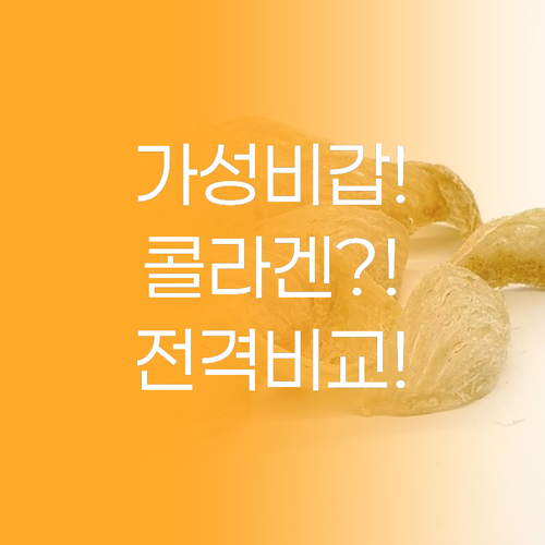 가격 대비 최고 효능은 바로 이것, ..