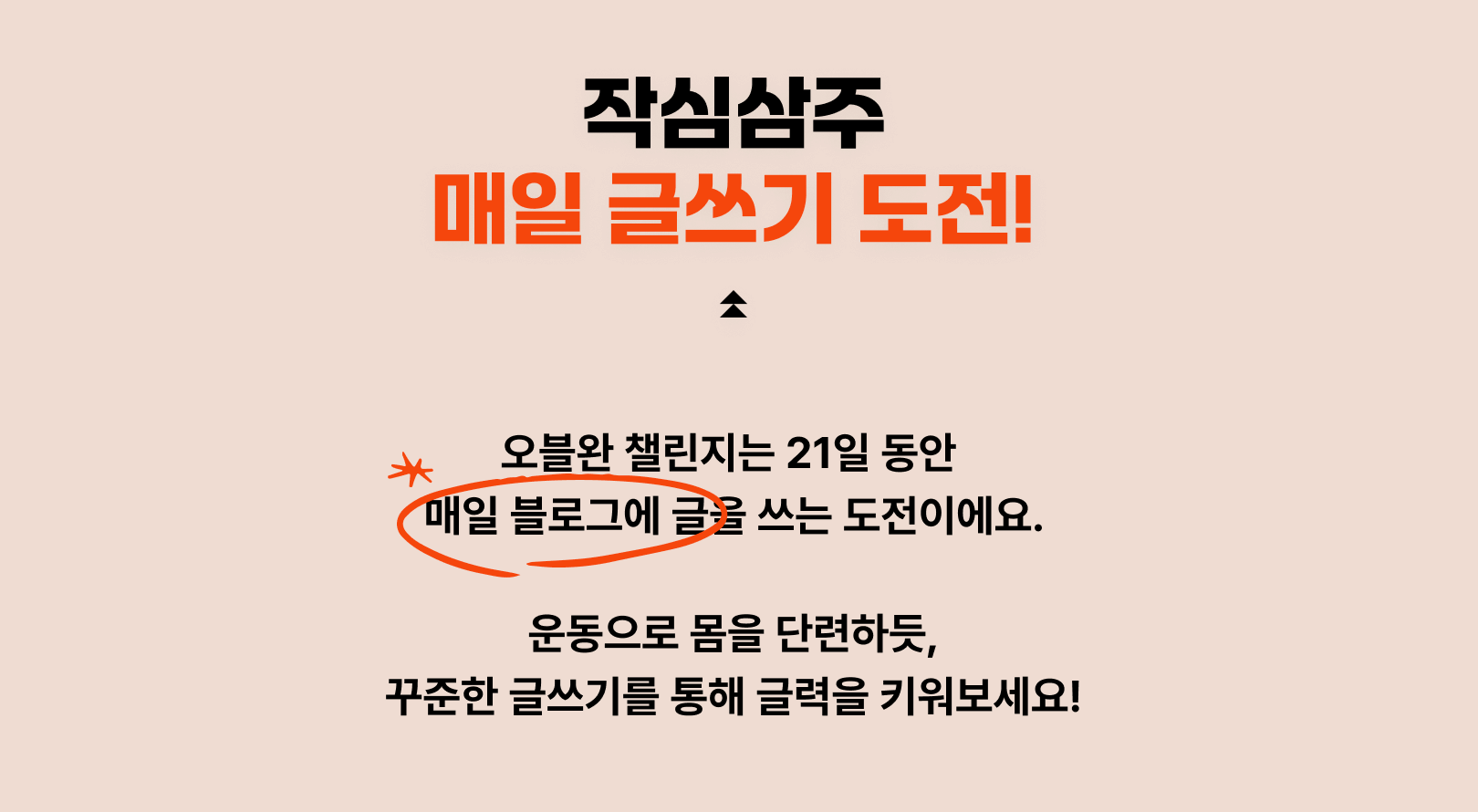 1일 1포