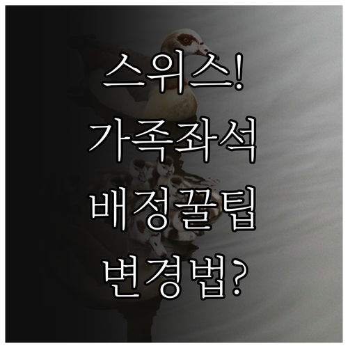 스위스 국제항공 가족 좌석 배정과 변..