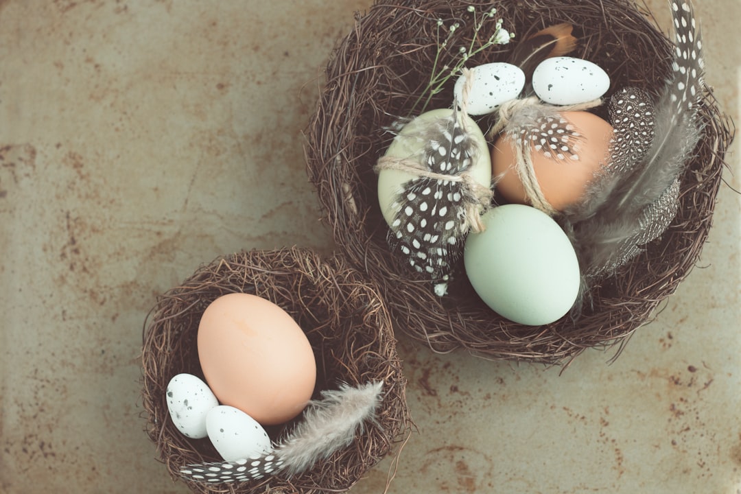 Nest