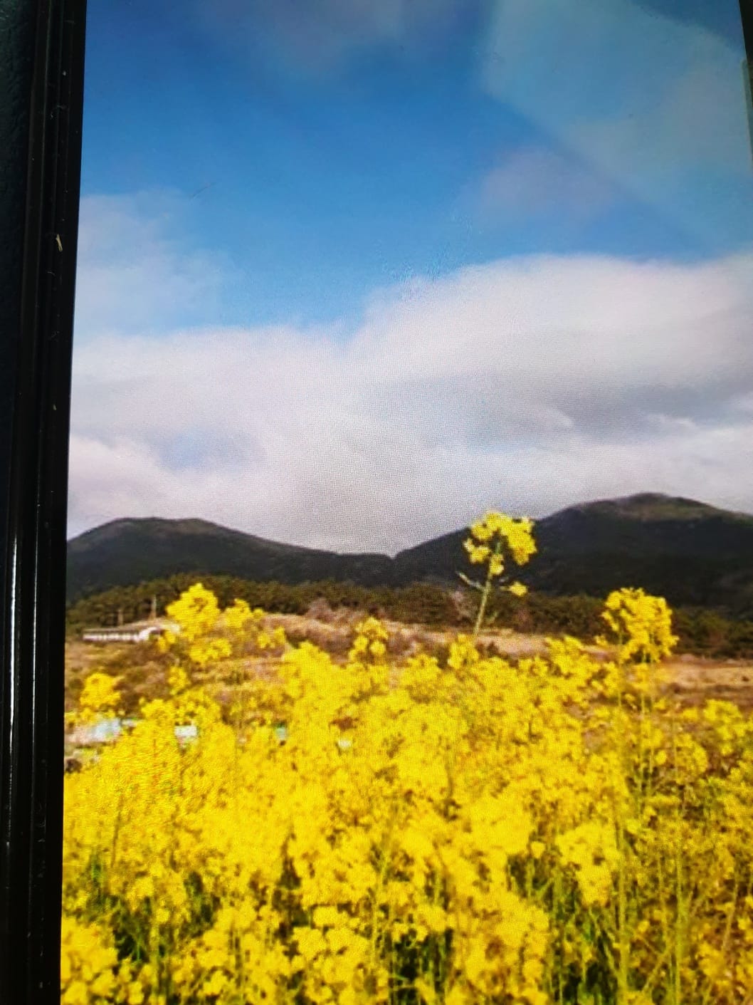 치유가 필요해 청산도를 걸어봐 기본일정과 프로그램 소개