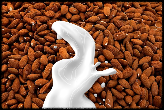 아몬드 효능_그림5