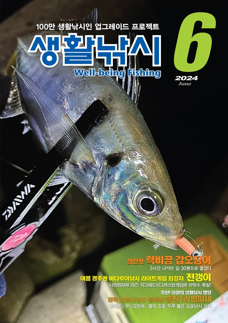 낚시 명당 전라남도 바다 방파제 선상 갈치낚시 정보_7