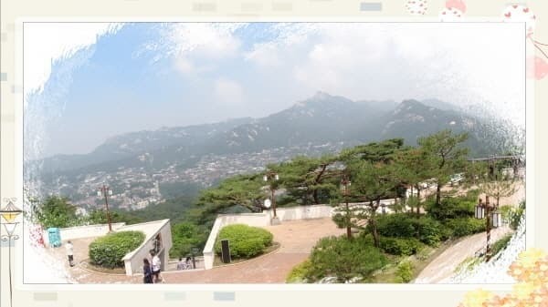 북악스카이웨이 산책로 완벽 가이드: 초보자도 쉽게 따라하는 코스