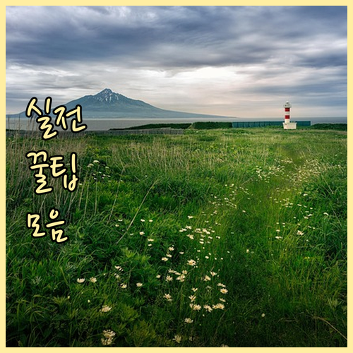 복지로에서 확인하는 차상위계층 지원 ..