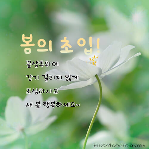 봄의-초입