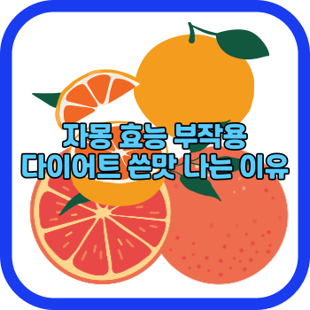 자몽 효능 부작용 다이어트 쓴맛 나는 이유