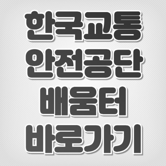 한국교통안전공단 배움터-바로가기