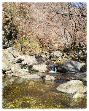조무락골