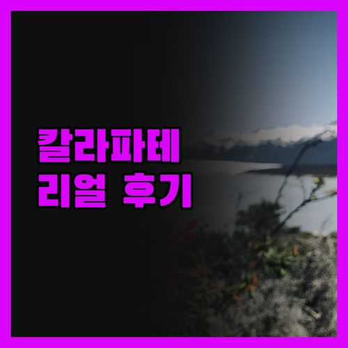칼라파테 호텔 완벽 분석! 여행객이