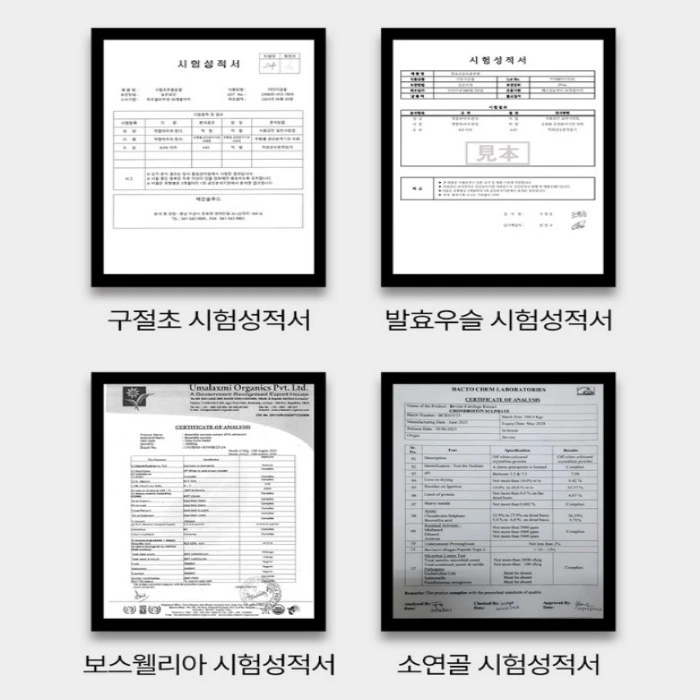 셀로비스 콘드로이친 내돈내산 후기 부작용 성분 효능 가격 복용법