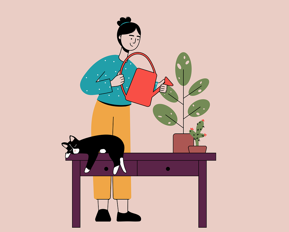 고향사랑 기부제