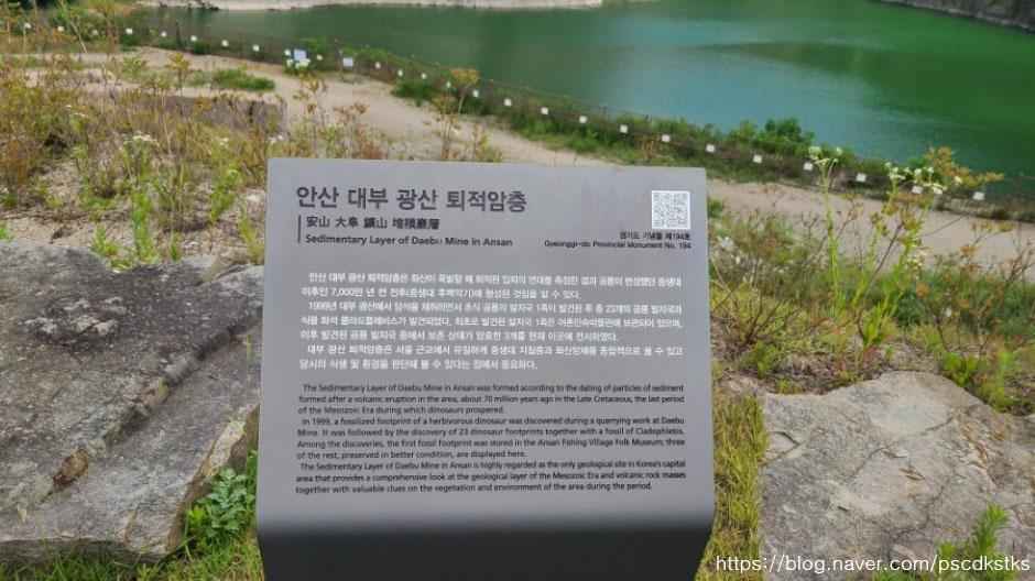 안산 대부광산퇴적암층