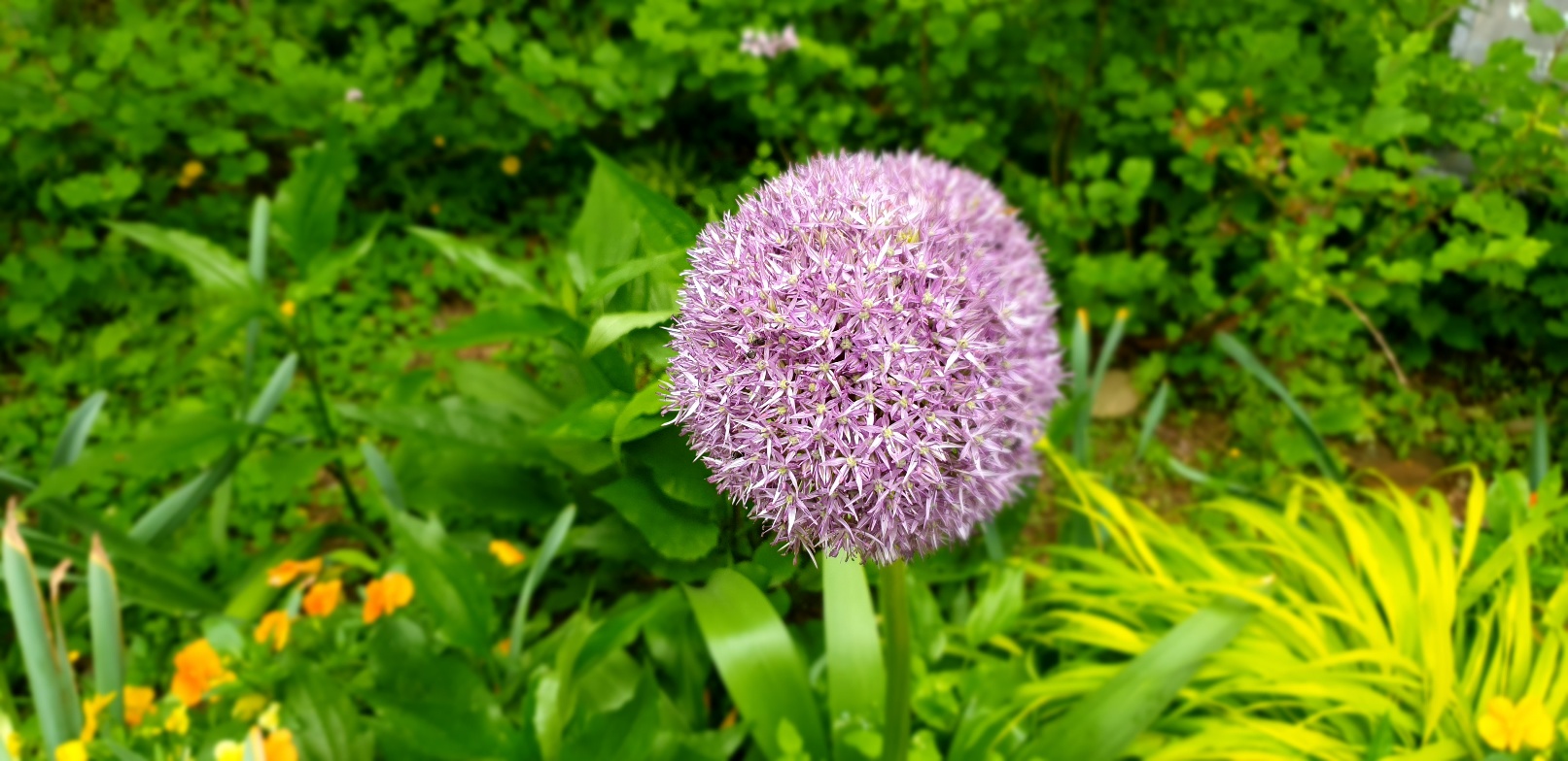 진해군항제 숙소 추천(가성비.위치.예약 꿀팁 총정리)