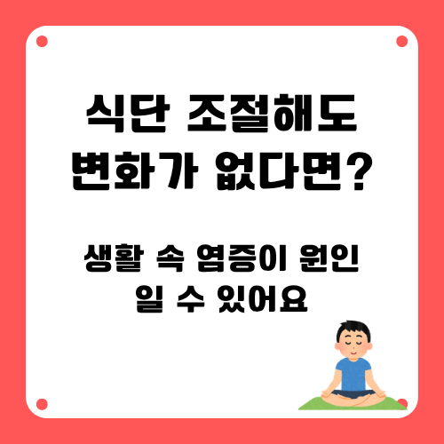 염증성비만 ,생활속루틴으로 다스리기