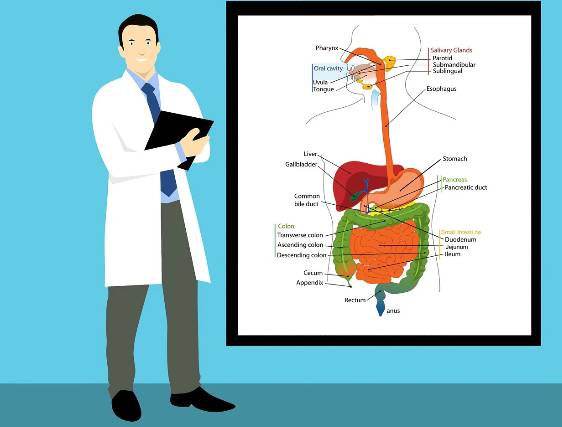 MRI와 MRA의 차이, 활용 사례