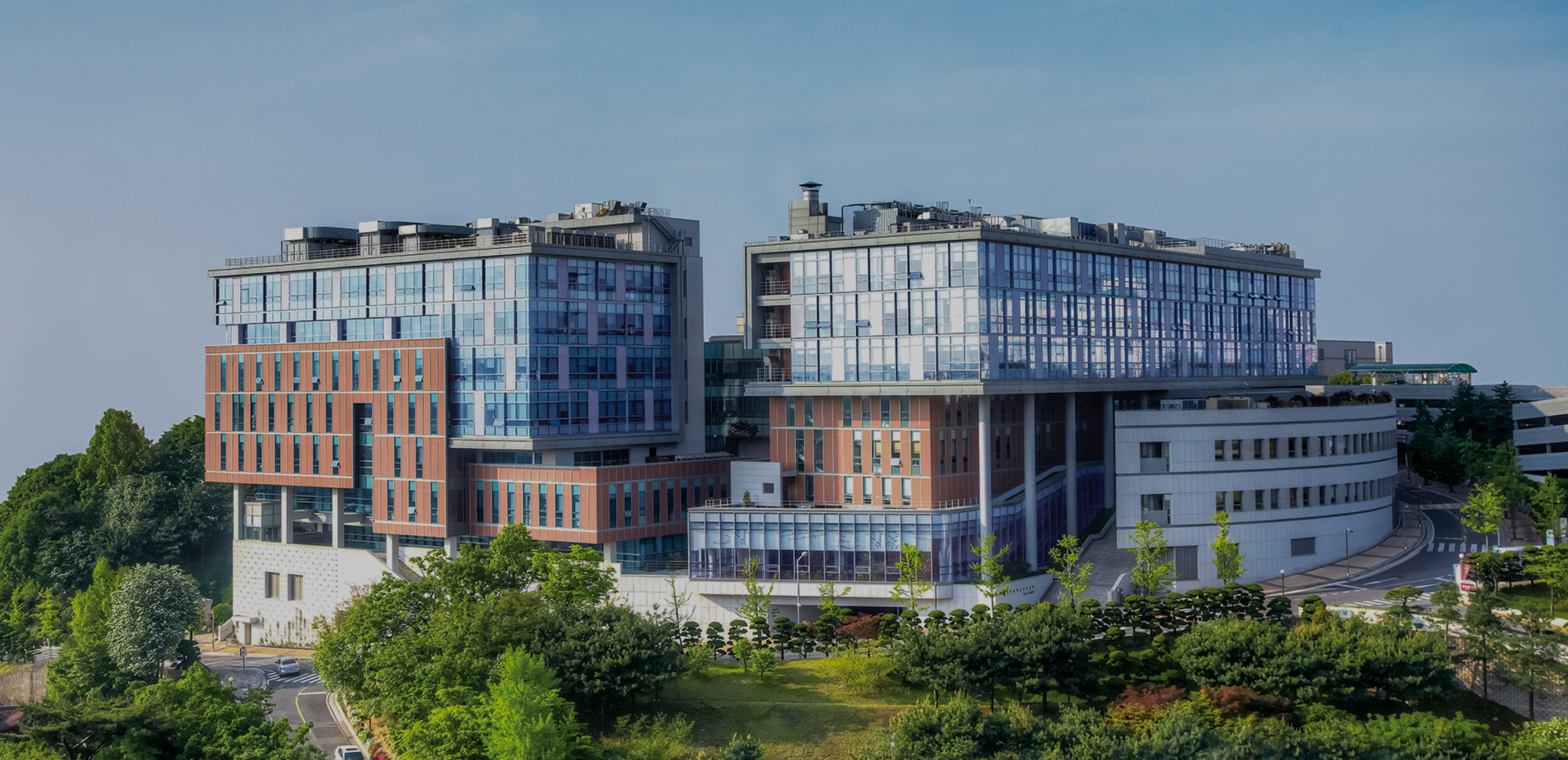 고려대학교 의과