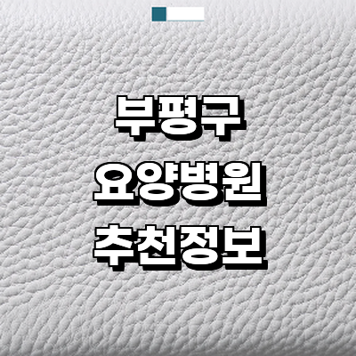 인천 부평구 요양병원