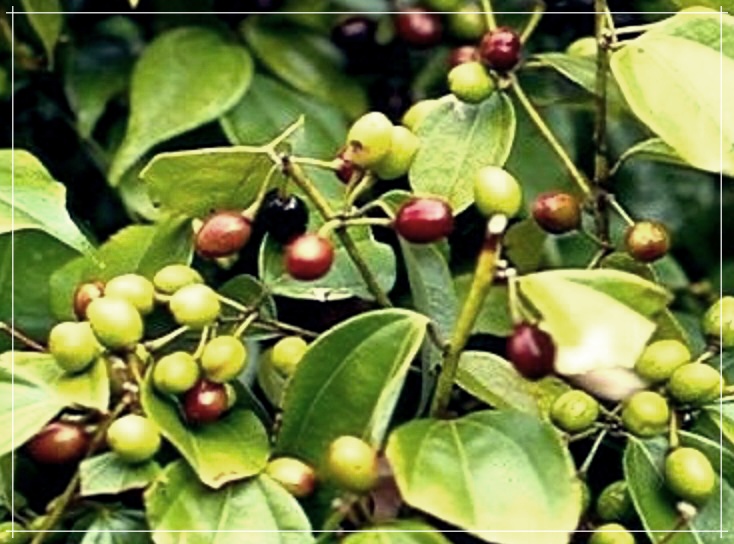 다뇨증 이란? 원인, 증상, 치료법