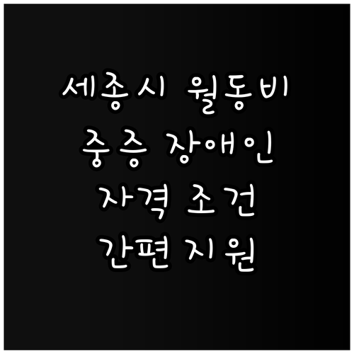 2025 세종시 중증장애인 월동비 지..