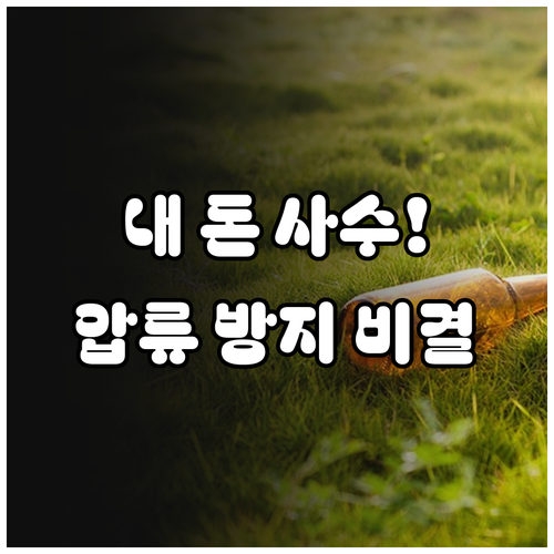 일반 계좌와 압류 방지 전용 계좌 차..