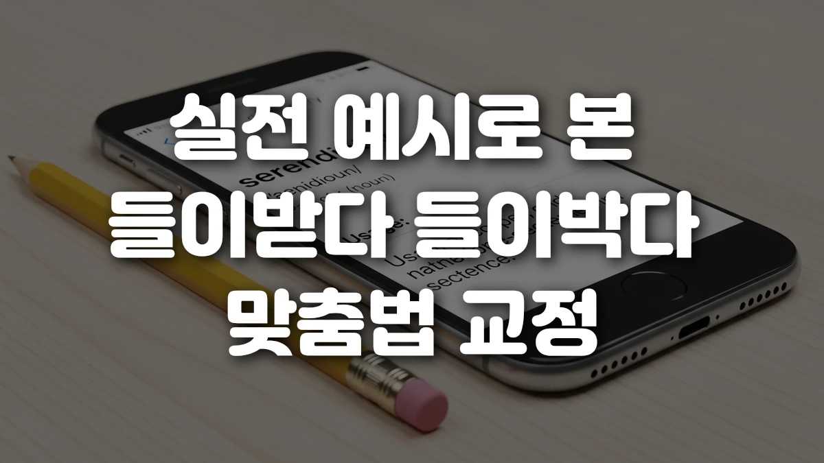 실전 예시로 본 들이받다 들이박다 맞춤법 교정