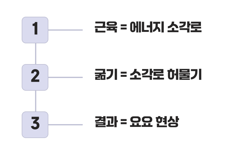 사라지는 근육, 꺼져가는 '칼로리 소각로'