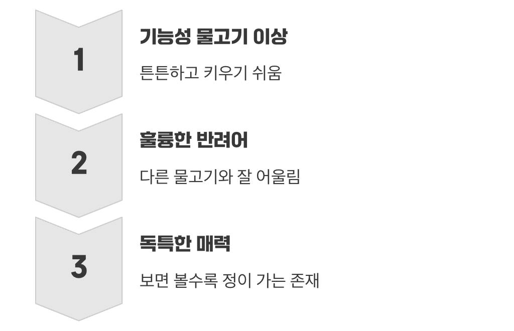 단순한 청소부를 넘어선 매력