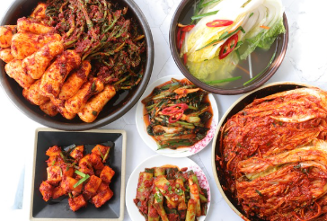 세계의 김치를 만나는 김치박물관, 우리가 몰랐던 김치의 놀라운 이야기