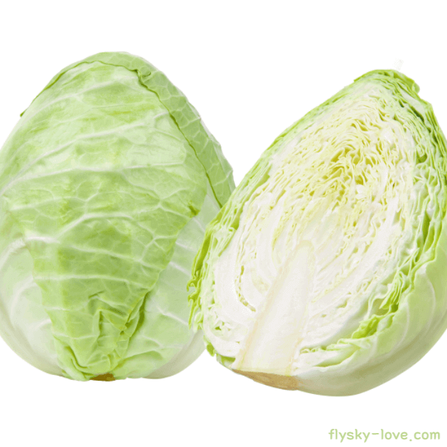 고깔 양배추 효능