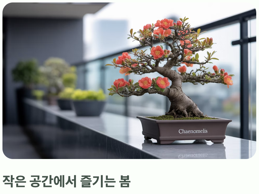 분재로 즐기는 작은 봄