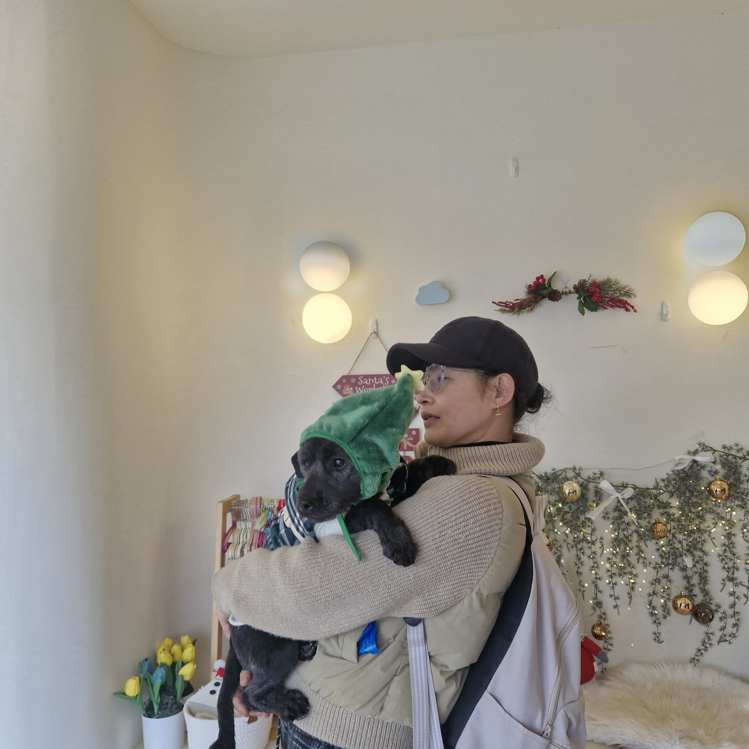 수의사가 알려준 강아지 발톱깎기,귀청소,항문낭 관리법