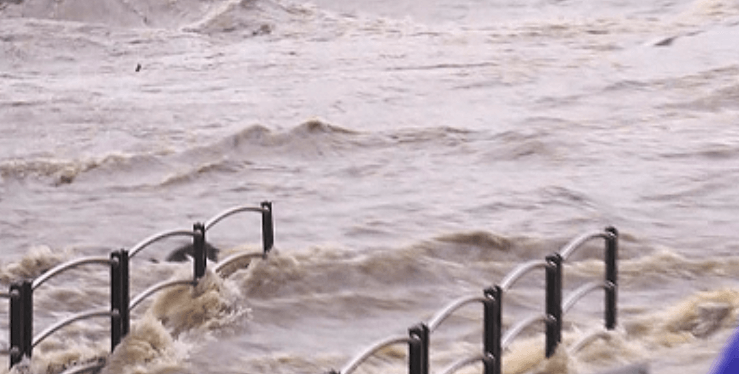 호우 피해 특별교부세