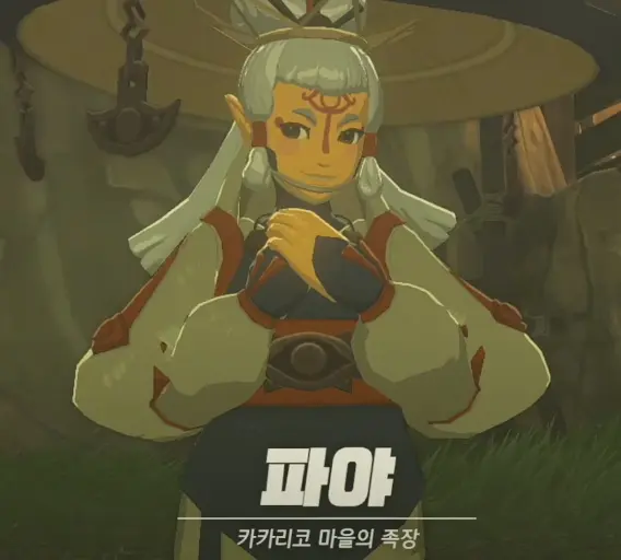 카카리코 마을 족장 파야