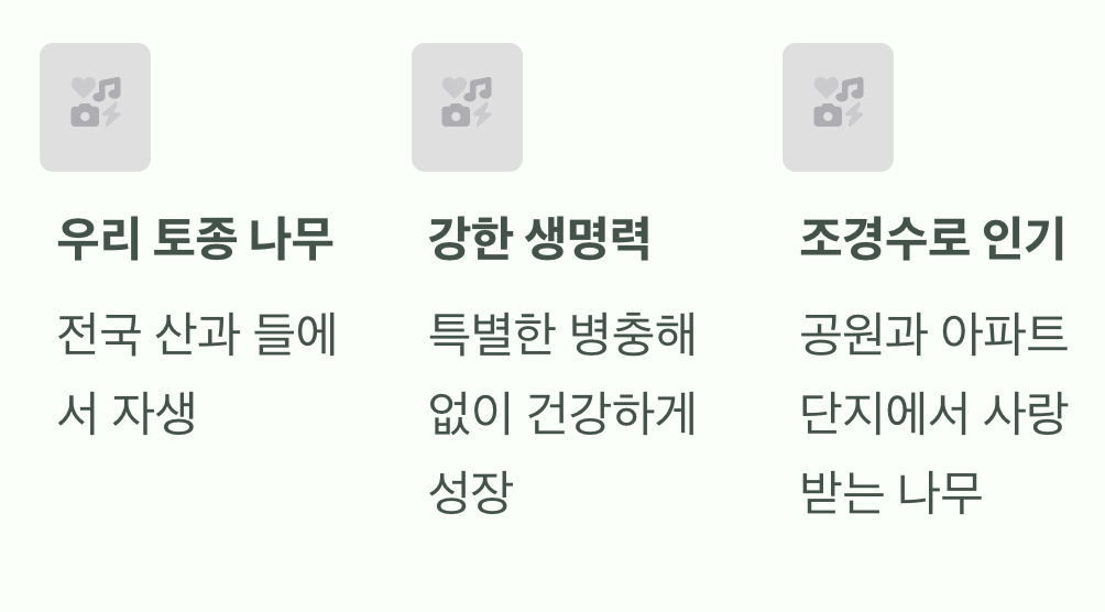 우리 곁의 소중한 친구, 우리 토종 나무