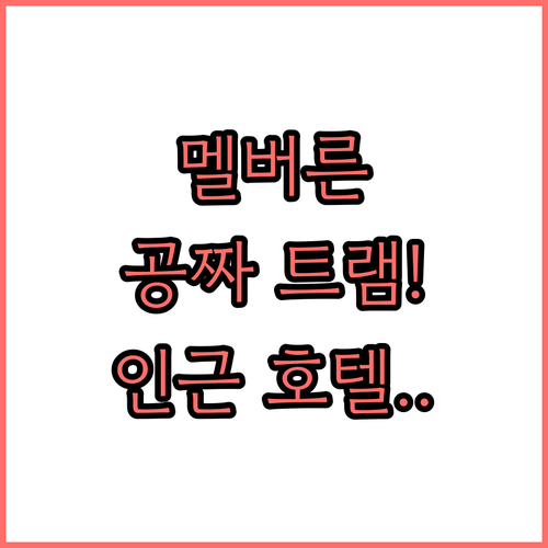 교통비 아끼는 멜버른 무료 트램 여행..