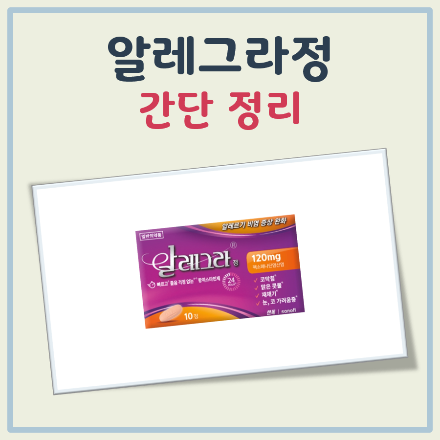 알레그라정 효능 부작용 대표 이미지